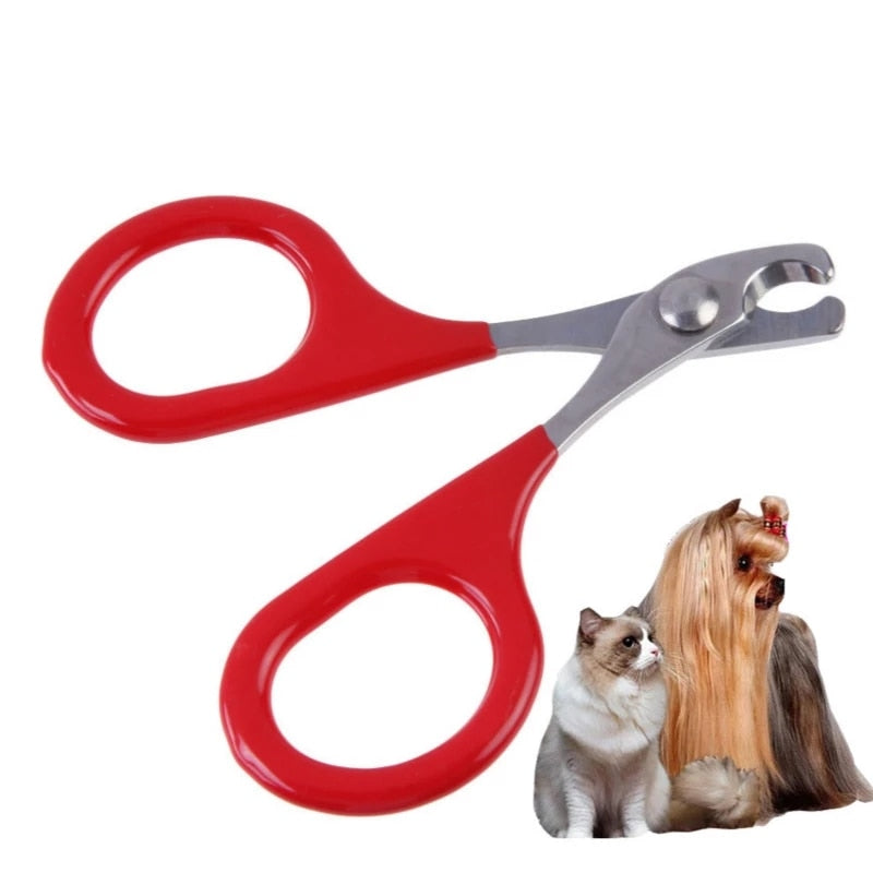 Cat Nail Scissors - Orchid Unique