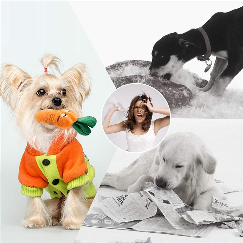 Squeaky Toys Plush Games - Orchid Unique