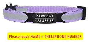 Cat Safety Buckle Collar - Orchid Unique