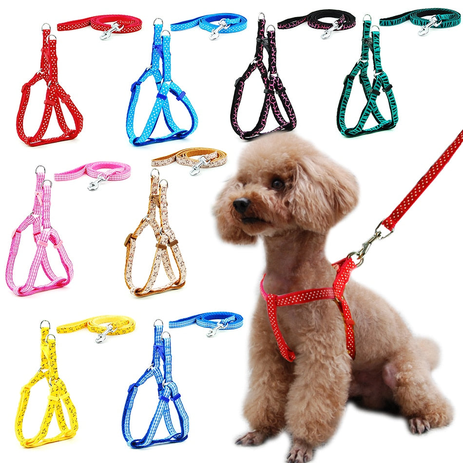 Adjustable small dog and cat harness - Orchid Unique