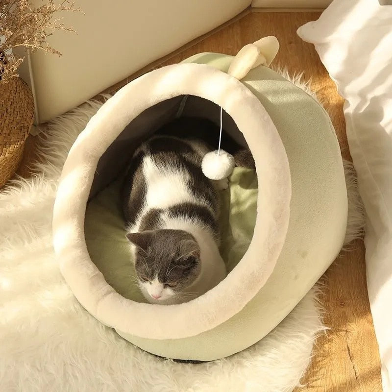 Sweet Cat Beds - Orchid Unique