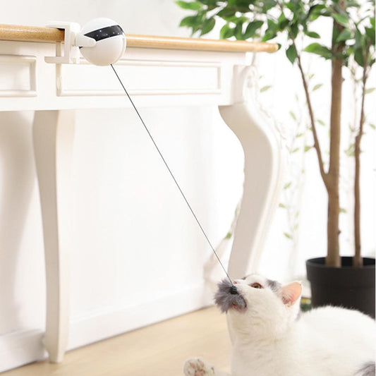 Electric Cat Toy Lifting Ball - Orchid Unique
