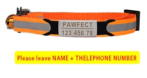 Cat Safety Buckle Collar - Orchid Unique