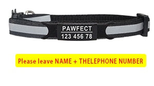 Cat Safety Buckle Collar - Orchid Unique