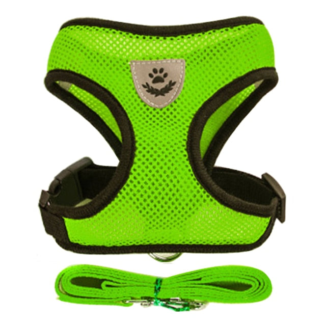 Adjustable Puppy Harness Collar - Orchid Unique