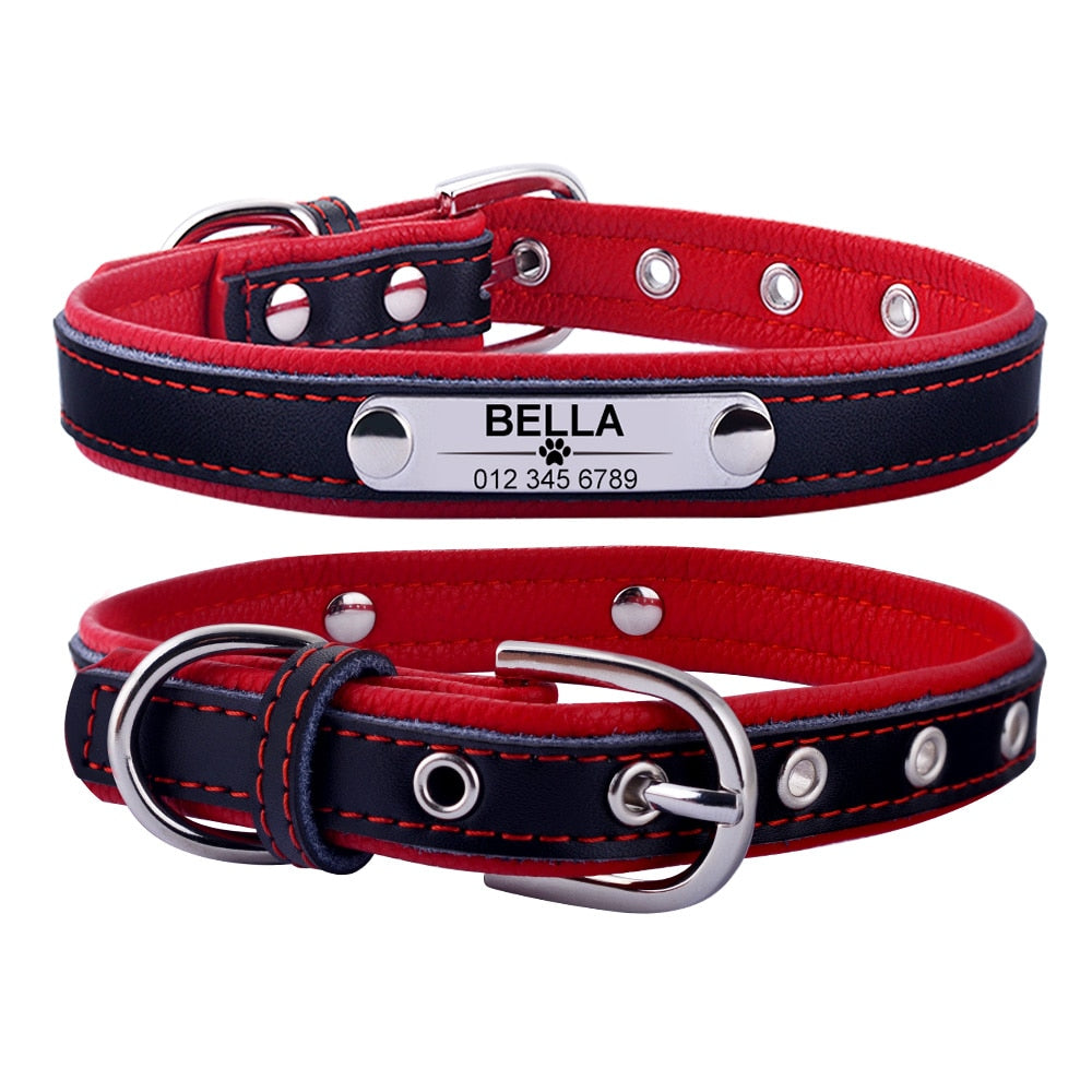 Adjustable personalized dog collar - Orchid Unique