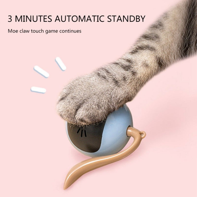 Interactive Cat Toy - Orchid Unique