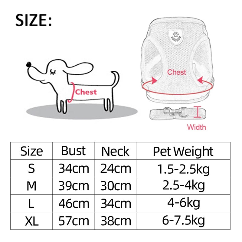 Pet Harness and Leash Combo - Orchid Unique