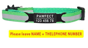 Cat Safety Buckle Collar - Orchid Unique