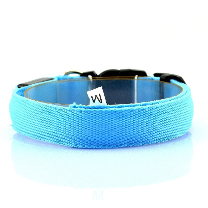 Adjustable LED Dog Collar - Orchid Unique