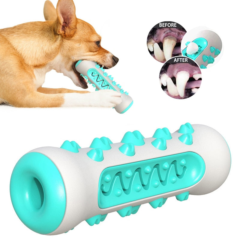 Dog Molar Toothbrush Toys - Orchid Unique