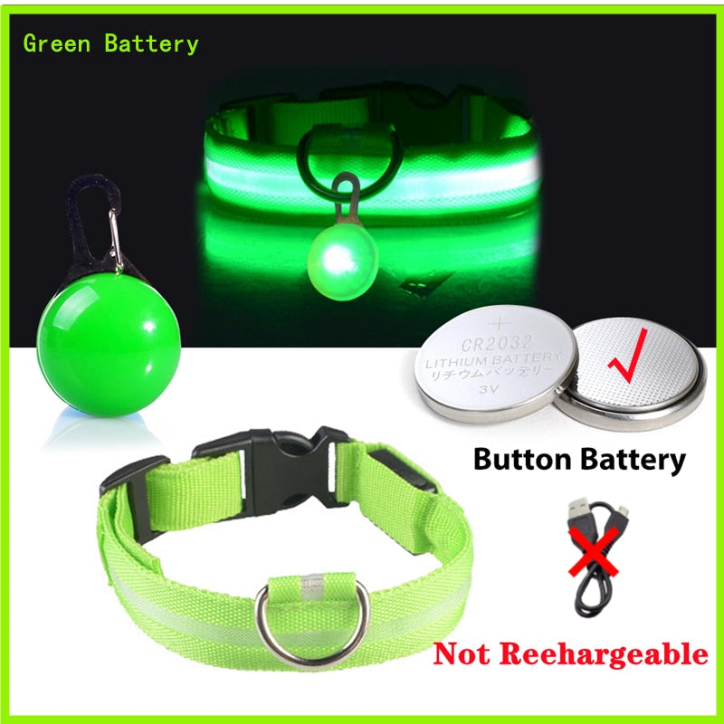 USB-charging glowing dog collar - Orchid Unique
