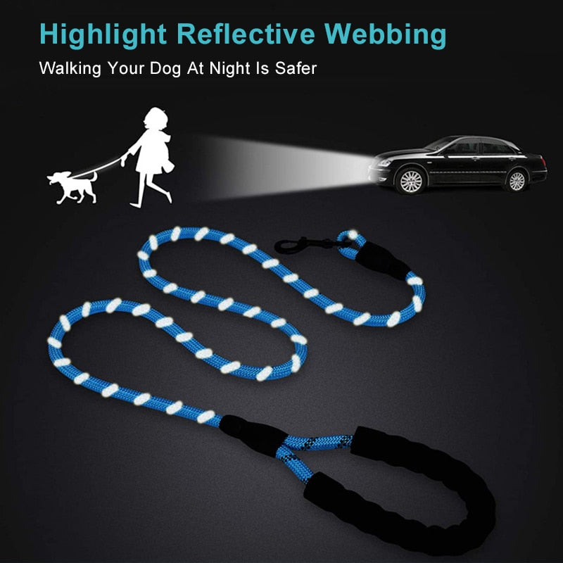 Strong Nylon Dog Leash - Orchid Unique