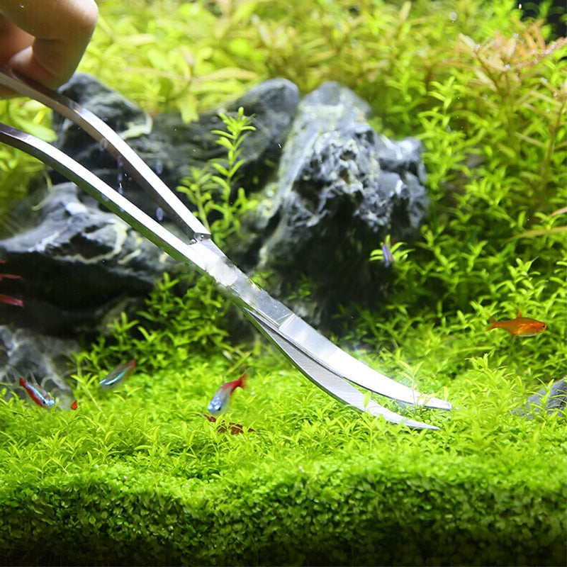 Aquarium Scissor Tweezer Tools - Orchid Unique