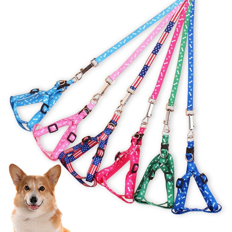 Retractable durable dog leash - Orchid Unique