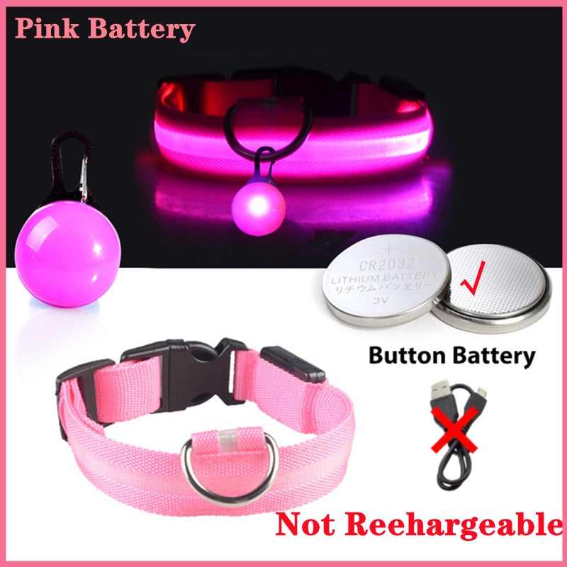USB-charging glowing dog collar - Orchid Unique