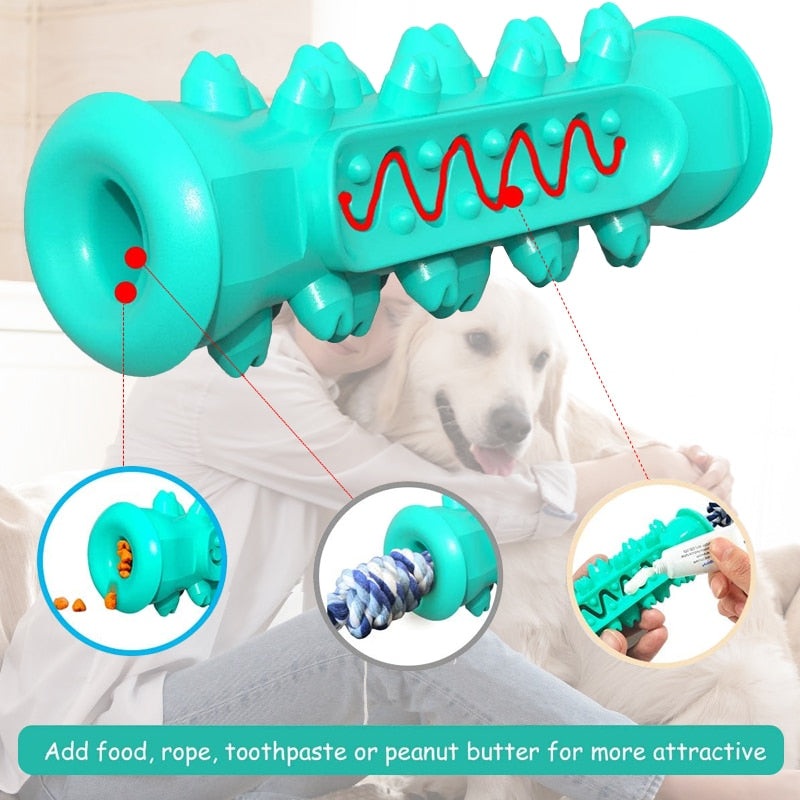 Dog Molar Toothbrush Toys - Orchid Unique
