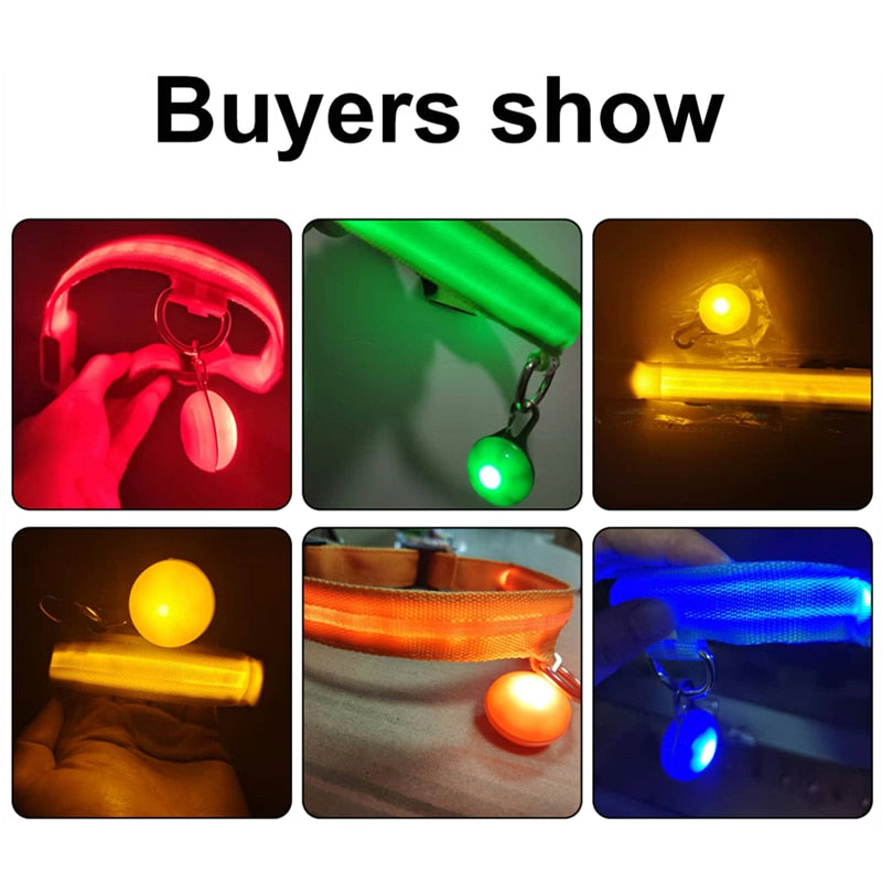 USB-charging glowing dog collar - Orchid Unique