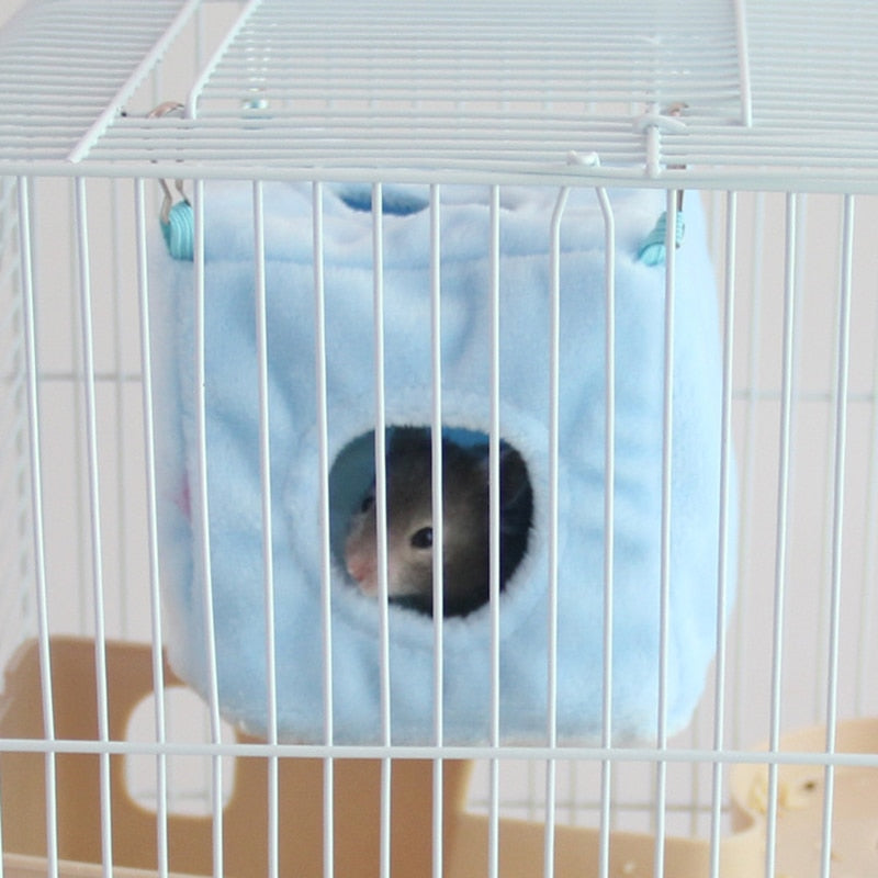 Hamster House - Orchid Unique