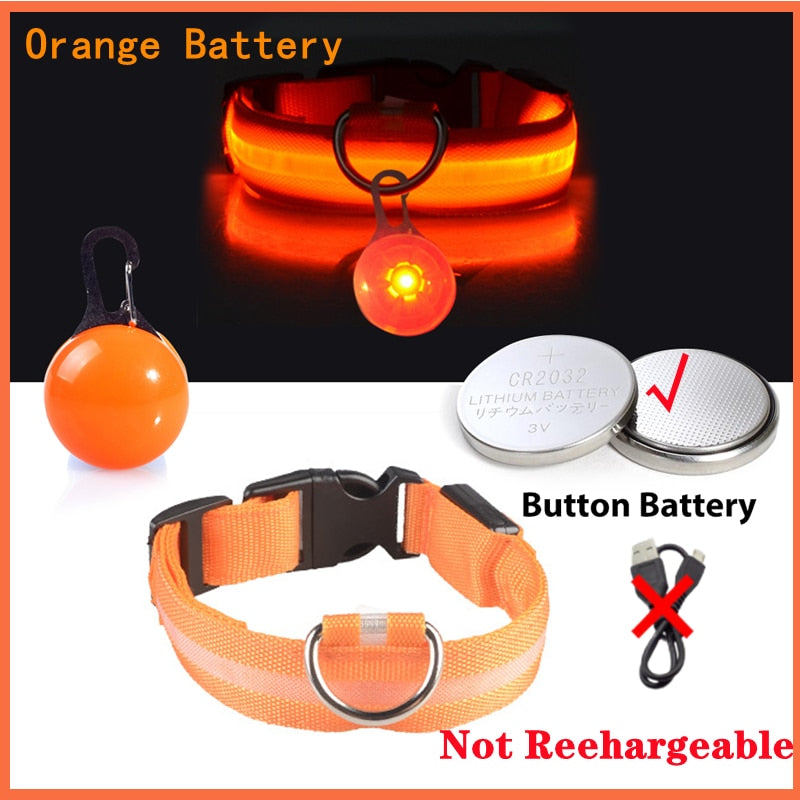 USB-charging glowing dog collar - Orchid Unique