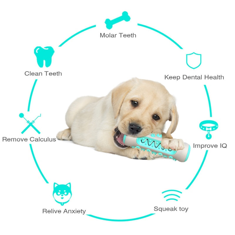 Dog Molar Toothbrush Toys - Orchid Unique