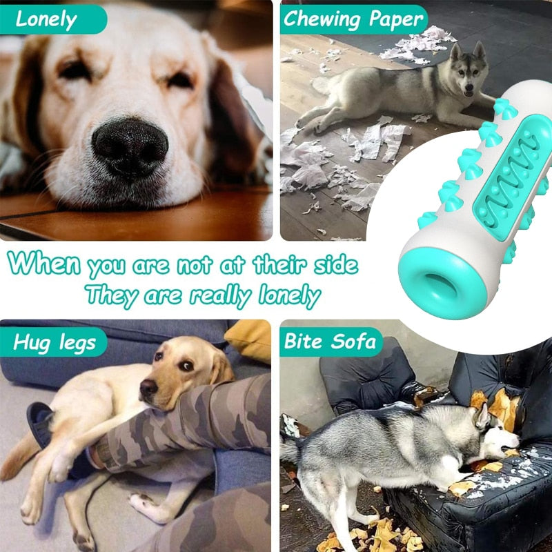 Dog Molar Toothbrush Toys - Orchid Unique