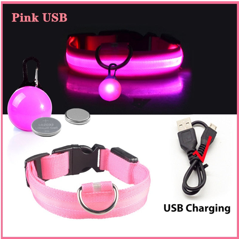 USB-charging glowing dog collar - Orchid Unique
