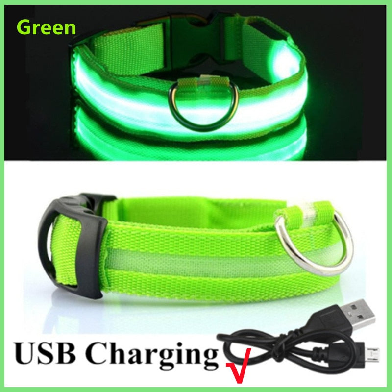LED adjustable collar safely - Orchid Unique