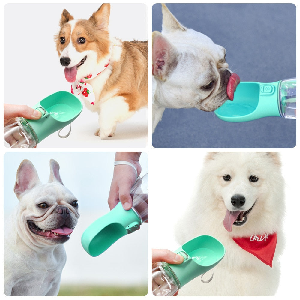 Portable Dog Water Bottle - Orchid Unique
