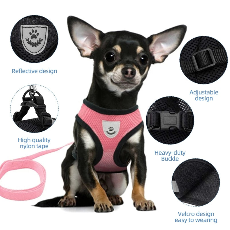Pet Harness and Leash Combo - Orchid Unique