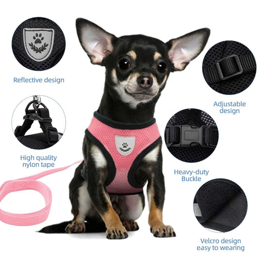 Pet Harness and Leash Combo - Orchid Unique