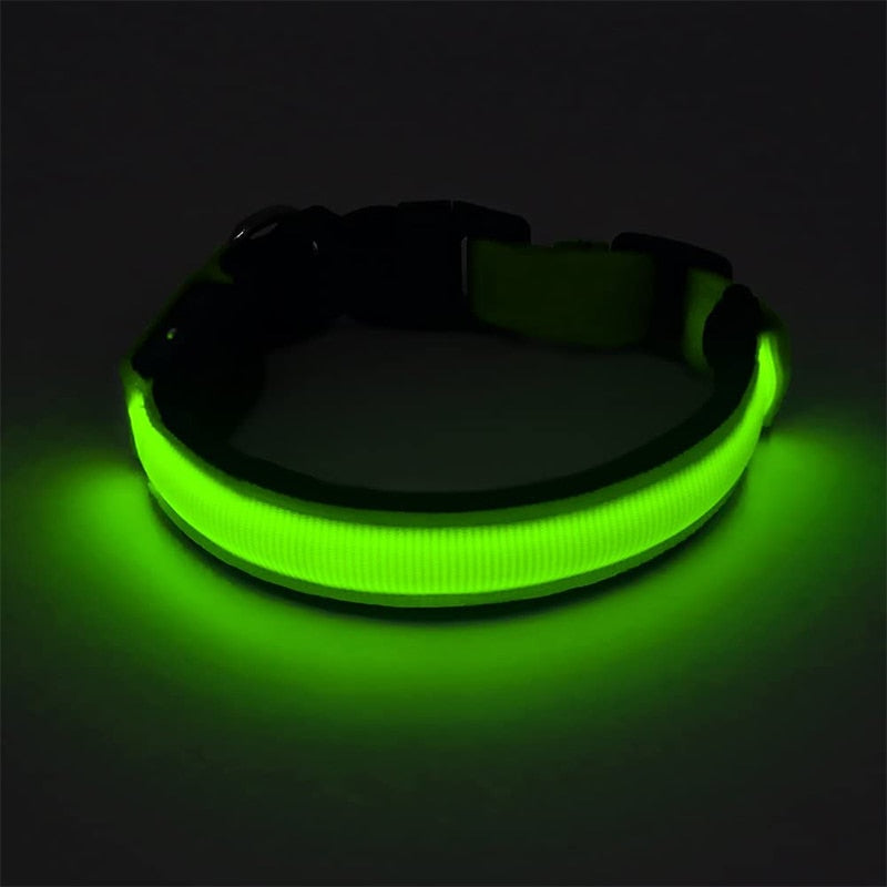 Adjustable LED Dog Collar - Orchid Unique