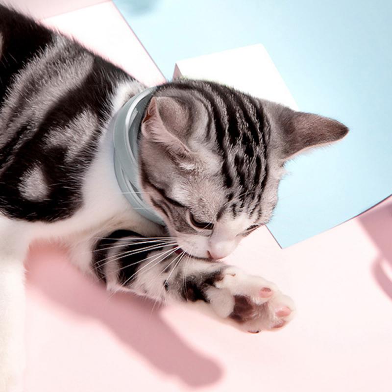 Flea & Tick Prevention Collar & Leads - Orchid Unique