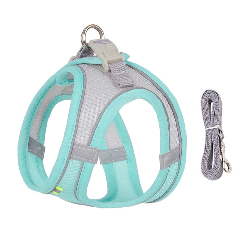 Dog Harness Leash Set - Orchid Unique