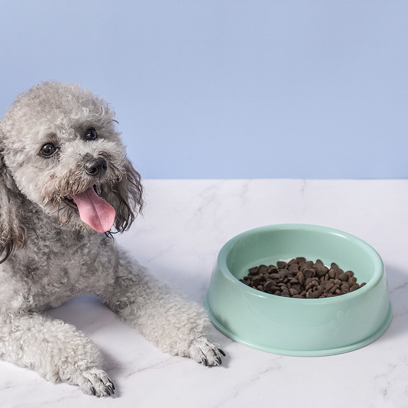 Pet Bowl Automatic Feeder - Orchid Unique