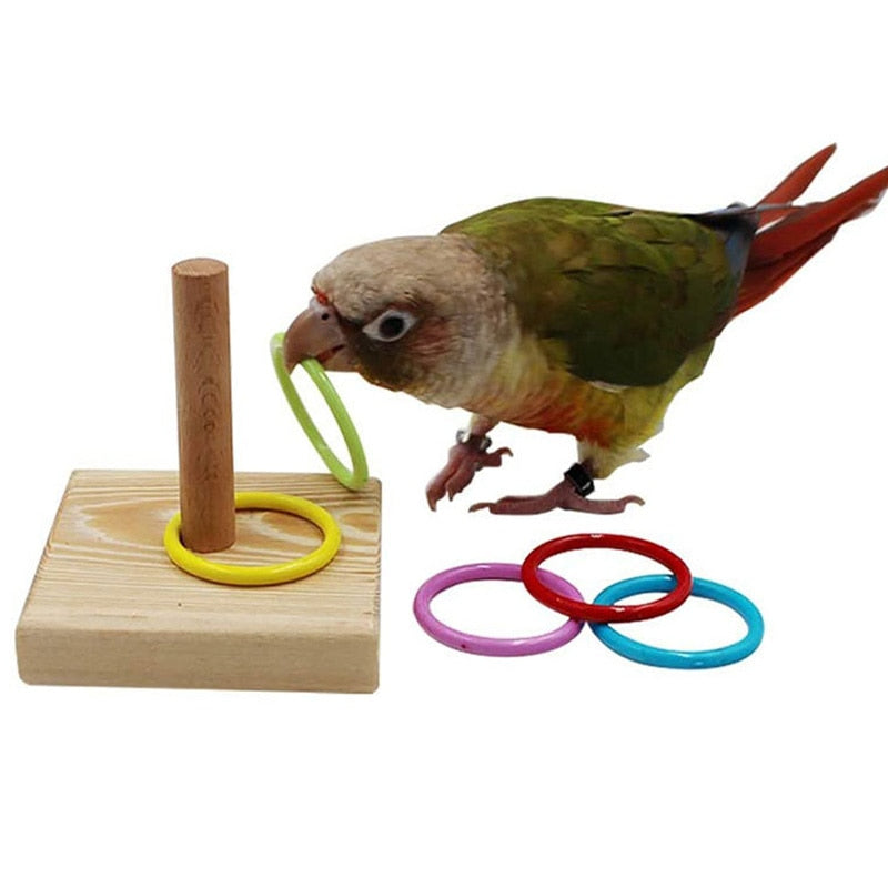 Bird training toy set - Orchid Unique