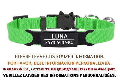 Personalized ID Tag Cat Collar Bell - Orchid Unique