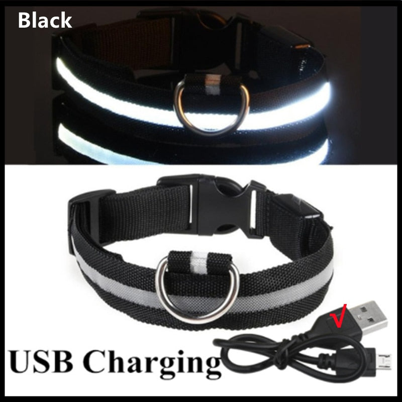 LED adjustable collar safely - Orchid Unique