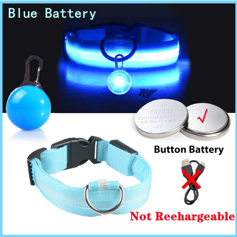 USB-charging glowing dog collar - Orchid Unique