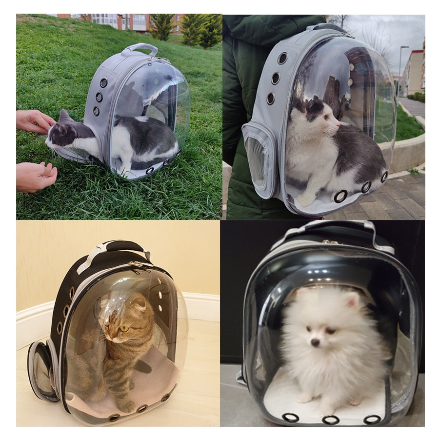 Outdoor Pet Shoulder Bag - Orchid Unique