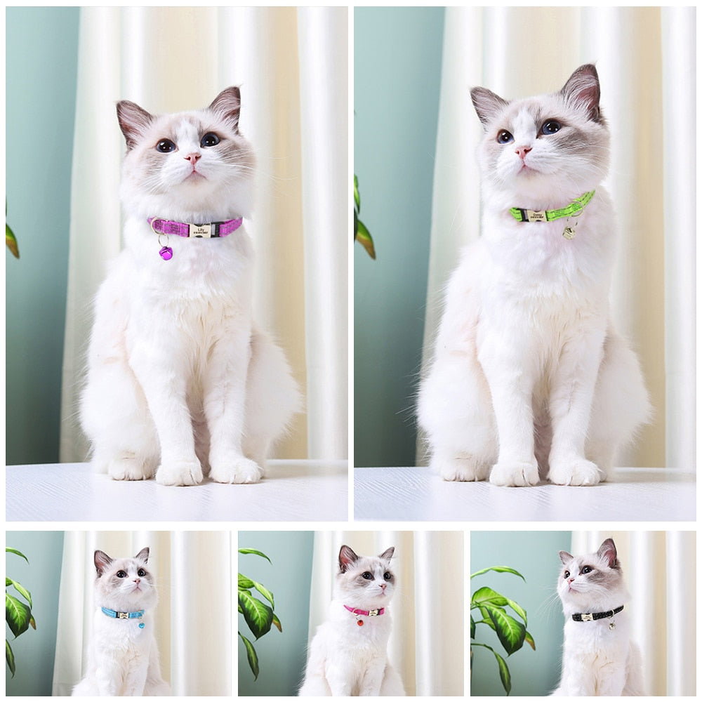 Reflective Collar - Orchid Unique