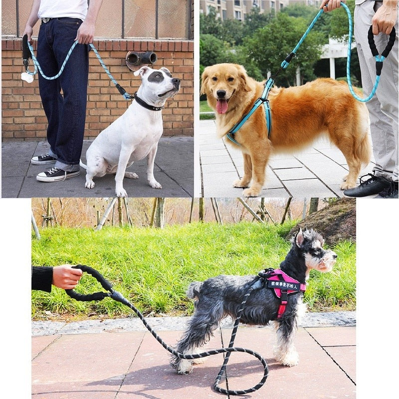 Strong Nylon Dog Leash - Orchid Unique