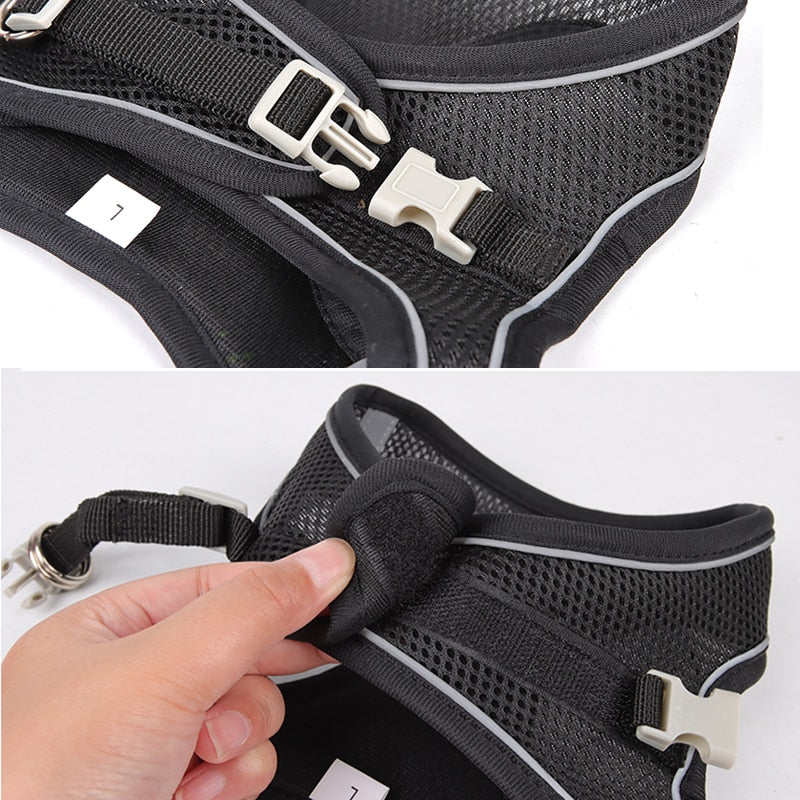Dog Harness Leash Set - Orchid Unique