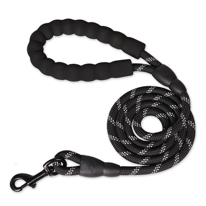 Strong Nylon Dog Leash - Orchid Unique