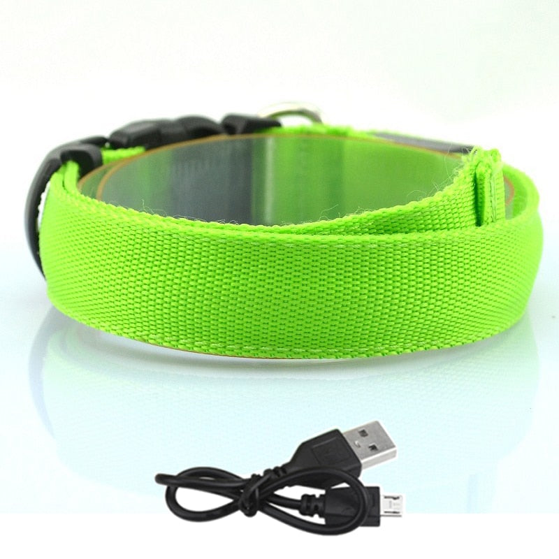 Adjustable LED Dog Collar - Orchid Unique