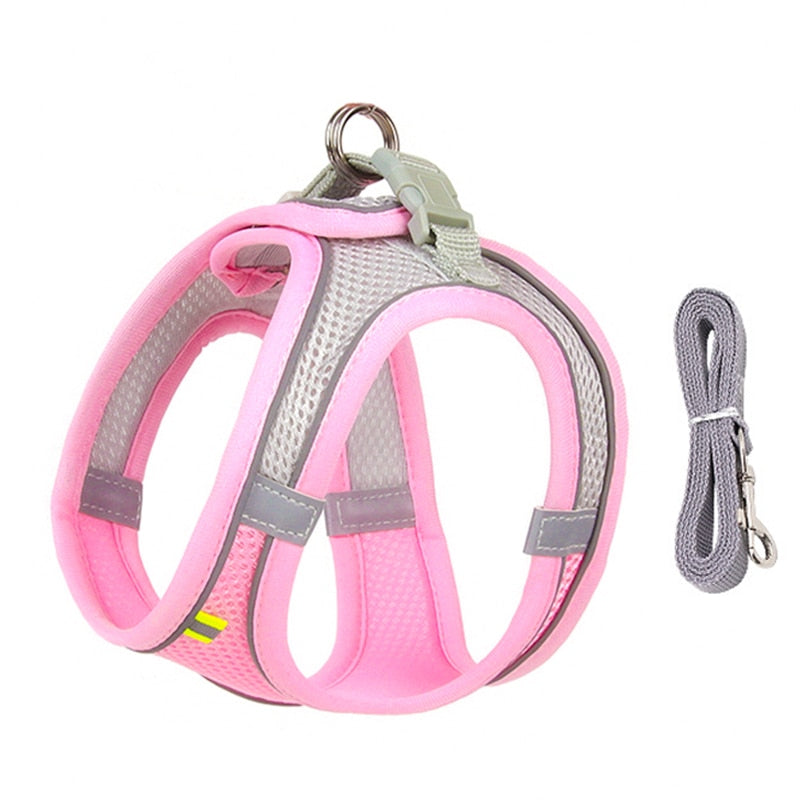 Dog Harness Leash Set - Orchid Unique