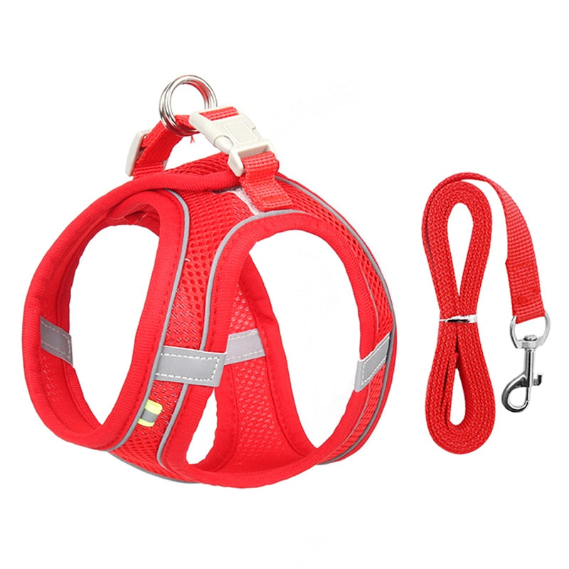 Dog Harness Leash Set - Orchid Unique
