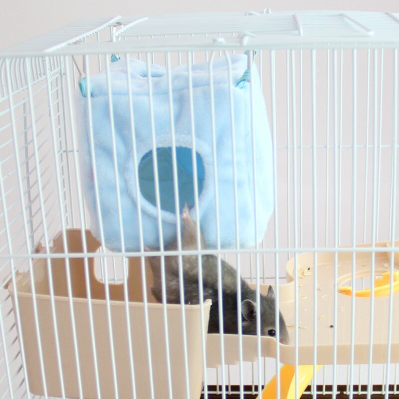 Hamster House - Orchid Unique