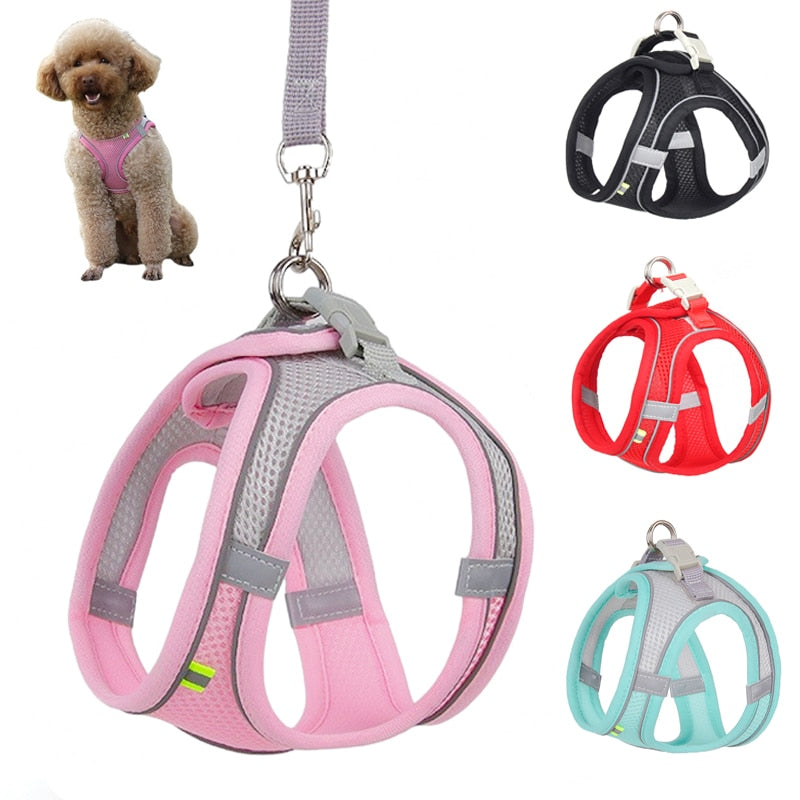 Dog Harness Leash Set - Orchid Unique