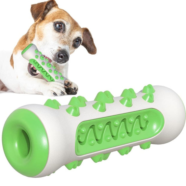 Dog Molar Toothbrush Toys - Orchid Unique
